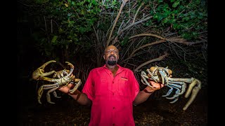 Land crab numbers feel the pinch