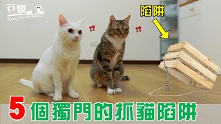 【豆漿 - SoybeanMilk】公開5個獨門抓貓陷阱  業配的秘密！