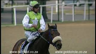 20180815 Greyville Race 2 won by INTERNET KID