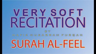 Beautiful & Emotional Recitation of Quran SURAH AL-FEEL in Soft Voice HAFIZ MUKARRAM FURQAN #shorts