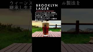 【キャンプ酒】Brooklyn Brewery　BROOKRYN LAGER