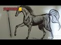 How to draw a horse using ballpen