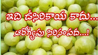 ఉసిరికాయ ఆరోగ్య ప్రయోజనాలు//benifits of amla juice@LalithaTeluguFacts