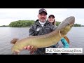 musky triggering tactics bucktail dive and rise and tubes