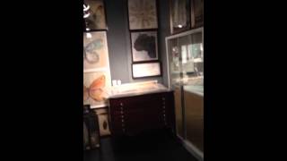 Spicher and Co. Showroom at Americasmart 2014