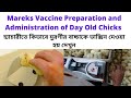 Mareks Vaccine Preparation and Administraion of Day Old Chicks in Hatchery||