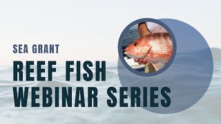 Sea Grant Reef Fish Webinar Series: The Greater Amberjack Count