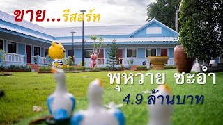 ปิดการขายเป็นที่เรียบร้อย  ขายรีสอร์ท พุหวาย ชะอำ  #อสังหาฯ