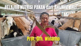 BERGURU MEMBUAT PAKAN KOMPLIT dari AHLINYA LANGSUNG‼️#part2