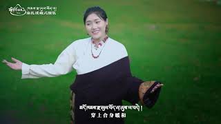 New Tibetan song 2023 ࿉ བོད་གཞས་གསར་པ་༢༠༢༣༼ཁམས་རྫ་ཡུལ་བོད་ལྭ།༽གཞས་མ། པད་མཚོ། ࿉ Petso 2023