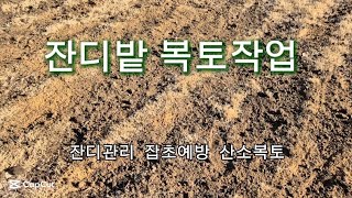 잔디밭 복토 흙넣기 잔디관리 산소잔디 복토 겨울잡초 방제 잔디밭관리#병풍농원