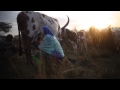 TAKE YOU TO AFRICA