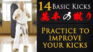 Basic Karate Kicks | Okinawan Karate | Everyday Karate at Home | Ageshio Japan