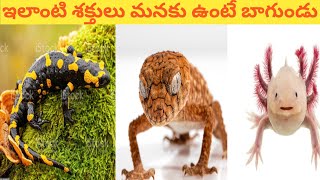 వీటికి ఉన్న powers మనకు ఉంటే బాగుండు |amazing facts#shorts