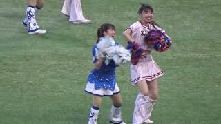 2023プロ野球 Passion＆チアドラ コラボダンス／つば九郎とドアラのいつものやつ