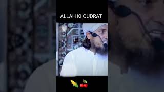 ALLAH KI QUDRAT Mufti Tariq Masood Whatsapp Status #short