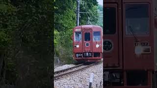 井原鉄道〚夢やすらぎ号〛2023/05/13　IRT355-201早雲の里荏原行　福塩線　備後本庄→横尾