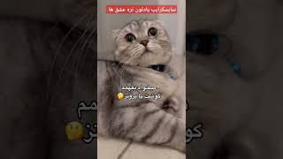 جون این مال کیه؟🍑