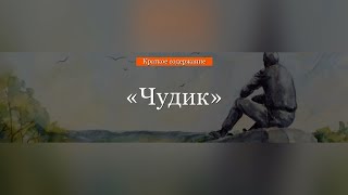 Краткое содержание - Чудик