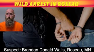 Wild Arrest In Roseau
