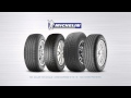 Express Oil Change & Tire Engineers - Michelin Spring Baseball