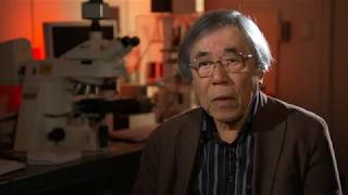 Dr. Masatoshi Takeichi: 2020 Canada Gairdner International Award