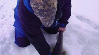 2011 MA & NH Ice Fishing Highlights (Winter)