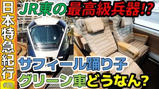 (78)【JR東の最終兵器!?】サフィール踊り子のグリーン車ってどうなん?【伊豆急行・E261系】