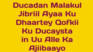 Ducadan Malakul Jibriil Ayaa Ku Dhaartey Qofkii Ku Du Caysta In Uu Alle Ka Ajiibaayo Yey Ku dhaafin