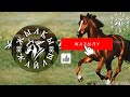 ЖҮЙРІК АТТЫ ҚАЛАЙ ТАҢДАЙМЫЗ❓🐎 Жылқы Жайлы