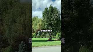 在很多人的想象中，# 美国作为发达国家的超级大国，自...