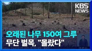 수십 년 된 나무 150여 그루 무단 벌목…“몰랐다” / KBS  2022.04.07.