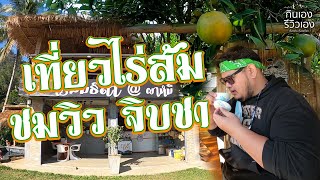 เที่ยวไร่ส้ม ชมวิว ถ่ายรูป จิบชา | ไร่ส้มธิดา ผาหมี