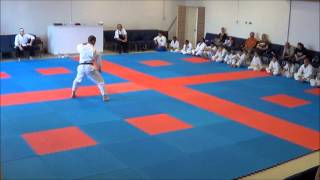 Steve Welch performing the kata Hangetsu