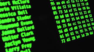 Hacking a Hotel Database