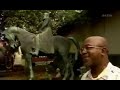 La vraie histoire du Congo zaire, documentaire