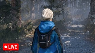 Let's Play Through the Woods -  Playthrough