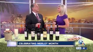 Certified Sommelier Stephanie Miskew talks about Merlot Month on WPTV \u0026 shares 6 Fabulous Wines!