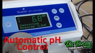 Bluelab pH Controller - Quick Look