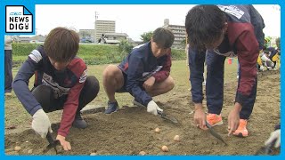 女子サッカーチーム「朝日インテック・ラブリッジ名古屋」の選手らが河川敷にスイセンの球根 約1300個植える