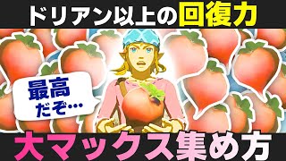 [ブレワイ] 回復料理 No.1！大マックスラディッシュの集め方 [ゼルダの伝説　ブレスオブザワイルド]