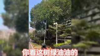 记录美好时光