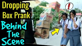 Dropping Box Prank On Cute Girls || Behind The Scene || Prank Shala Fun