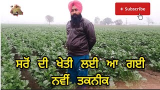 ਸਰੋਂ ਚ ਤੁਸੀਂ ਤਾਂ ਨੀ ਕਰਦੇ ਗਲਤੀ,🙏🙏🙏🙏🙏