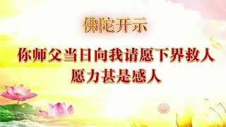 你师父当日向我请愿下界救人，愿力甚是感人