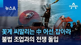 꽃게 씨말리는 中 어선 잡아라…불법 조업과의 전쟁 돌입 | 뉴스A