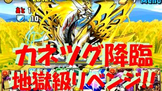 【パズドラ】カネツグ降臨【全属性必須】地獄級にリベンジ！赤ソニアｘ呂布パ 【167】