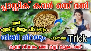 വീട്ടിൽ പ്ലാസ്റ്റിക് കവർ ഉണ്ടോ 😱മല്ലി കാടായി വളർത്താം /മല്ലി കൃഷി /malli nadam //poppy happy vlogs