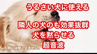 うるさい犬を黙らせる超音波　吠える犬を黙らせる　Silence barking dog