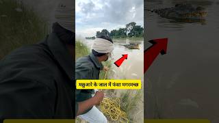 मछुआरे के जाल में फंस गया मगरमच्छ 🐊 #crocodile #crocodiles #hunting #fishing #fish #fishingvideo #yt